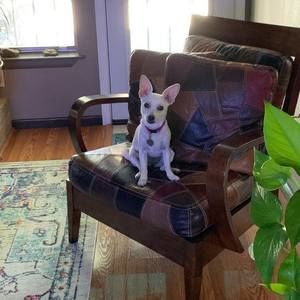 Meet your Posher, Marina